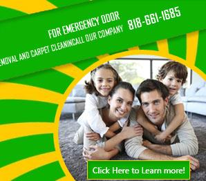 Sofa Cleaning Services - Carpet Cleaning Canoga Park, CA