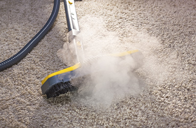 Keeping the Carpet Clean for Longer